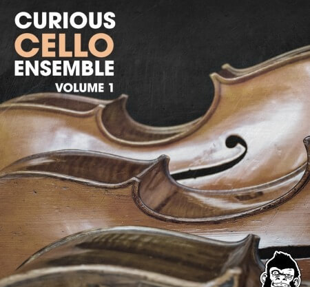 Vanilla Groove Studios Curious Cello Ensemble Vol.1 WAV